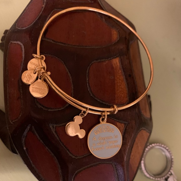 Alex and Ani Disney Bracelet - Picture 4 of 6